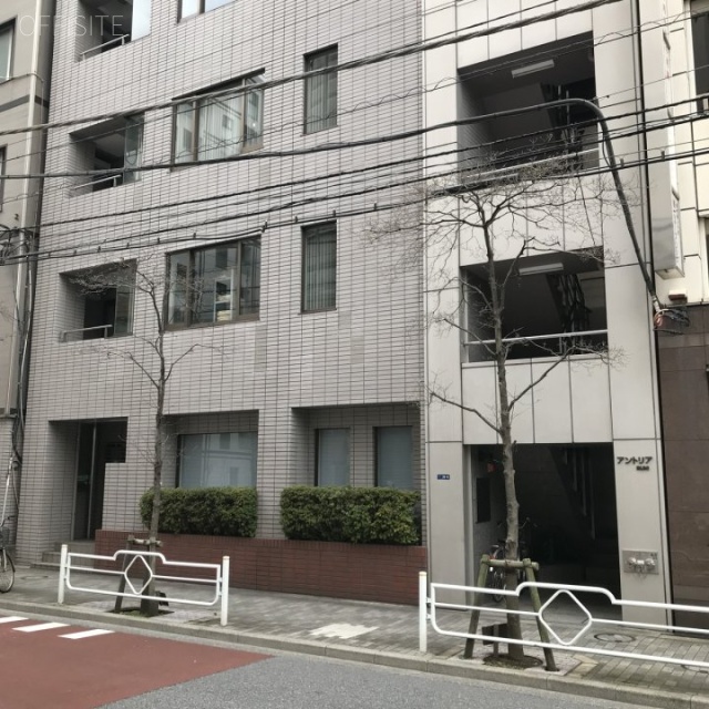 アントリアビル 1階 24.42坪　1階部分
