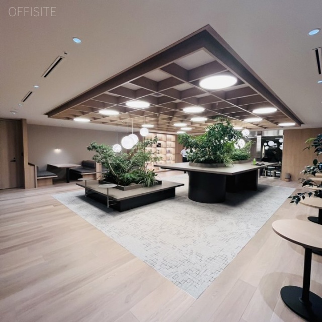 日比谷セントラルビル501 5階 HIBIYA CENTRAL THE WORKPLACE