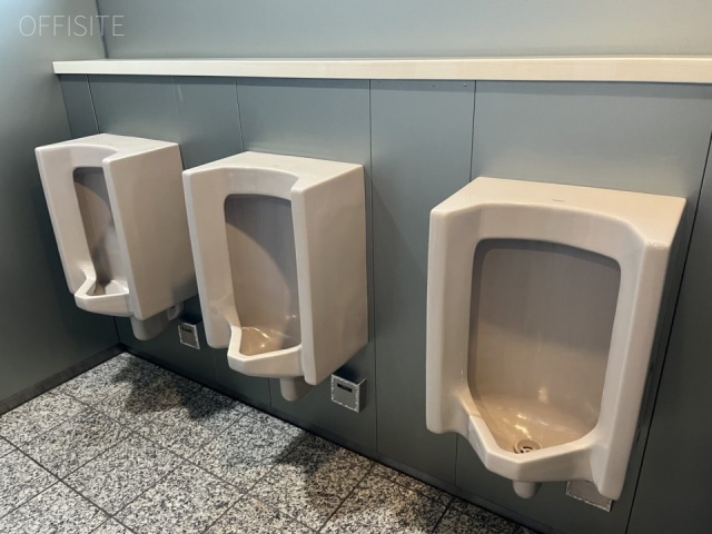 ベネックスSー310F トイレ