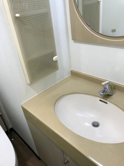 烏山お茶の水ビル2F 2階 洗面台