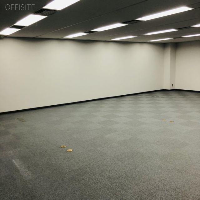 プライム高田馬場4丁目ビルB1F B1階 室内
