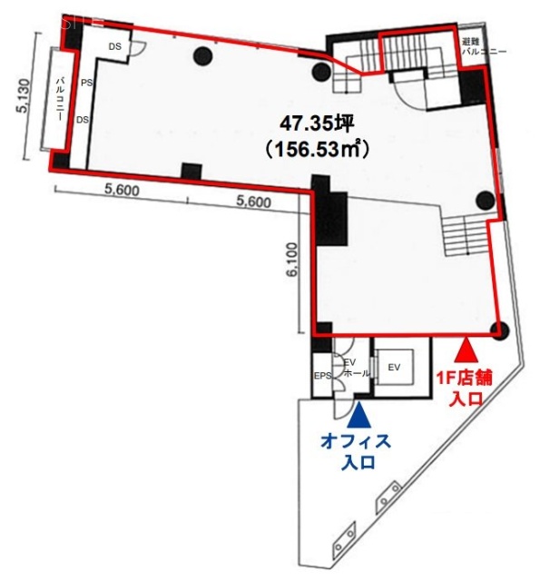 MK麹町ビル1F 間取り図