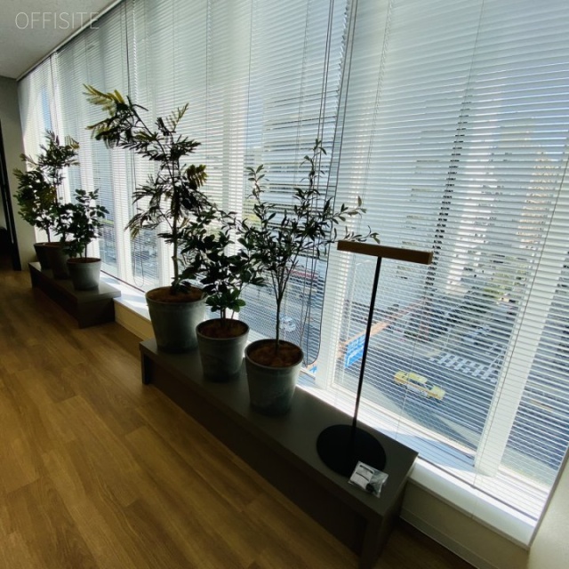 クローバー青山・ONE5F 5階 室内