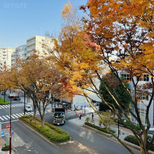 江戸川橋東誠ビル4F 4階 眺望