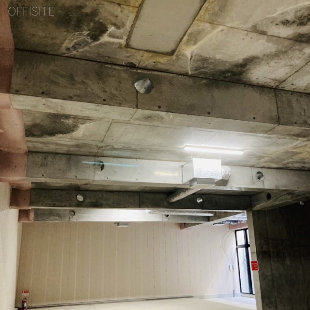 FPG links OMOTESANDO ⅣB1F B1階 室内