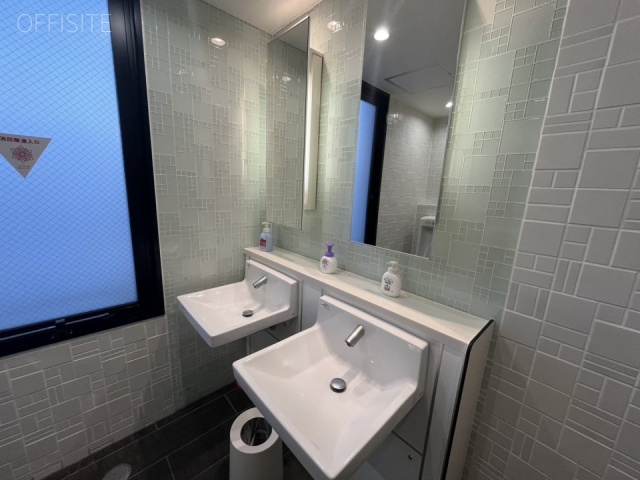 マストビルW3 洗面