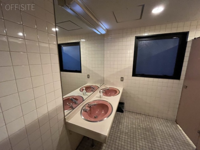 IWASAKI BLDG301 洗面