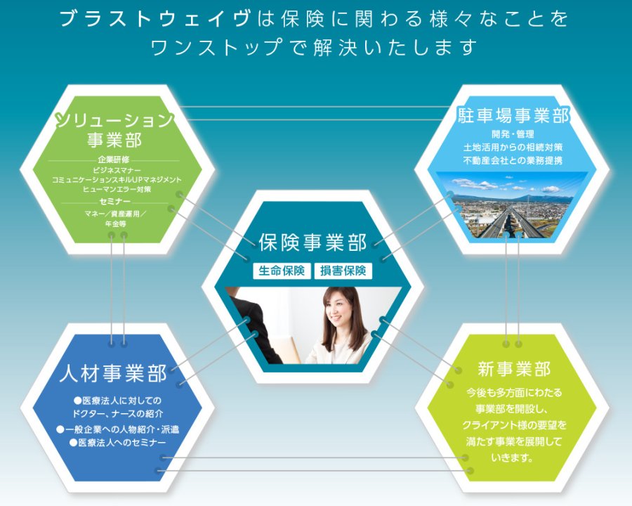 株式会社ブラストウェイヴの事業